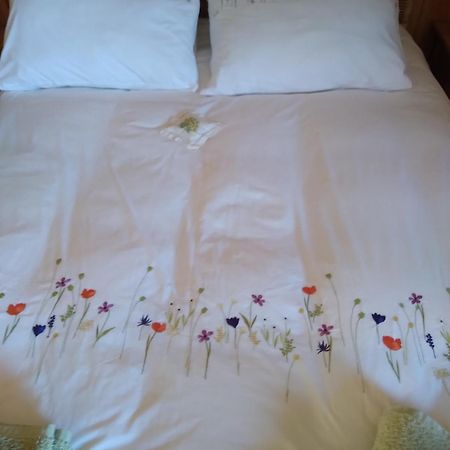 Bed and Breakfast Les Dames De La Saugiat Le Fied Екстер'єр фото